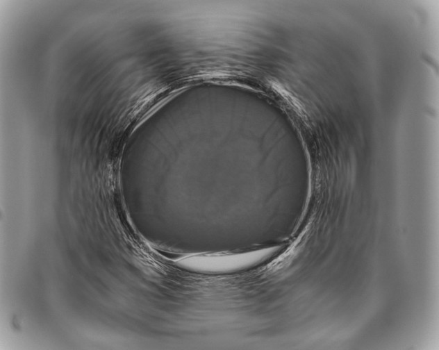 X0000096401353200802141509