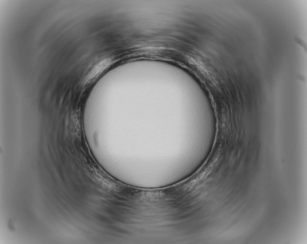 X0000096401354200802141509