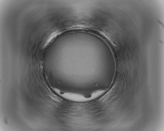 X0000096401355200802141509