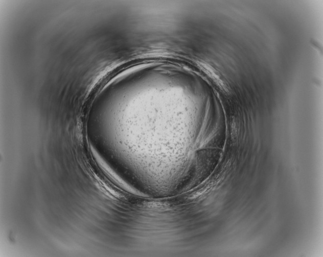 X0000096401356200802141509