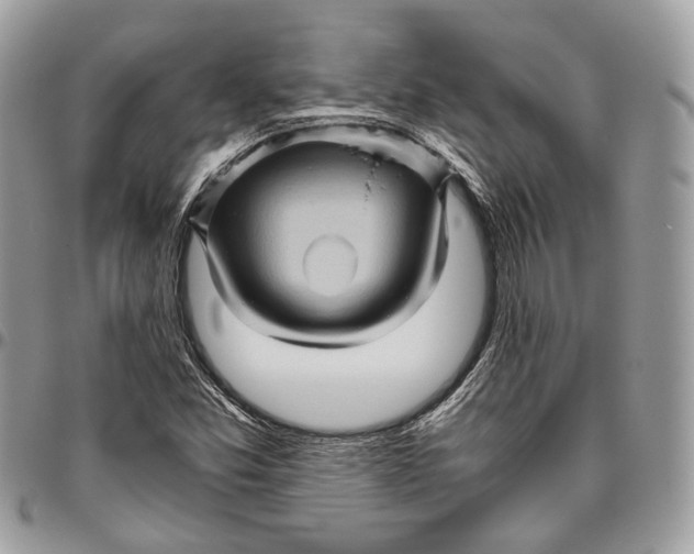 X0000096401357200802141509