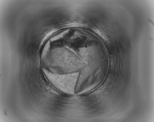 X0000096401358200802141509