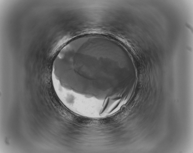 X0000096401359200802141509