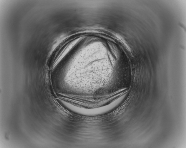 X0000096401360200802141509