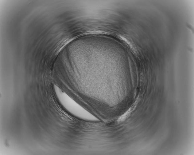 X0000096401361200802141509