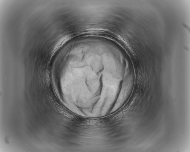 X0000096401362200802141509