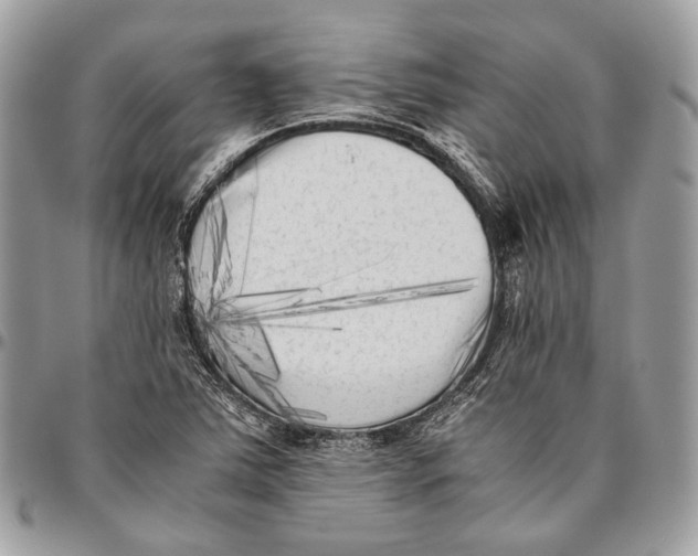 X0000096401363200802141509