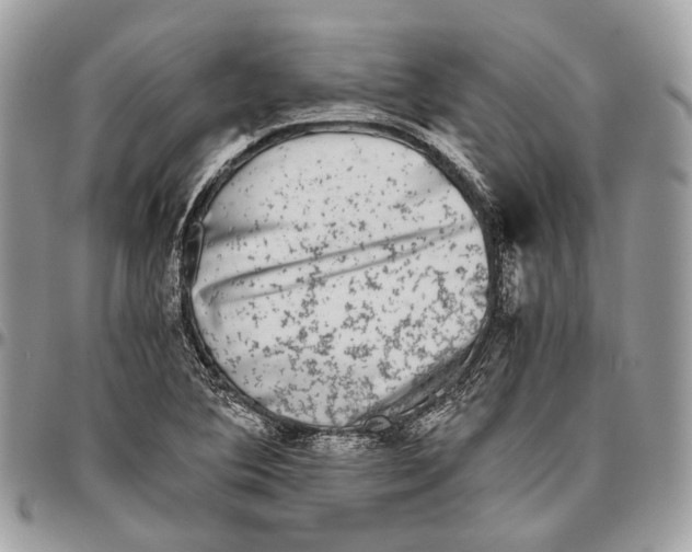 X0000096401364200802141509