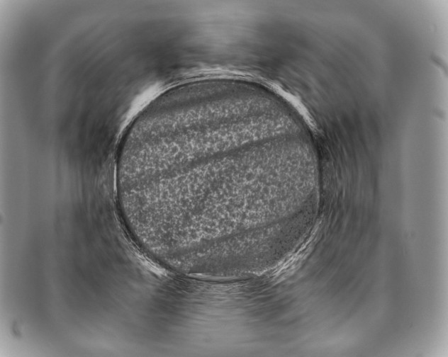 X0000096401365200802141509