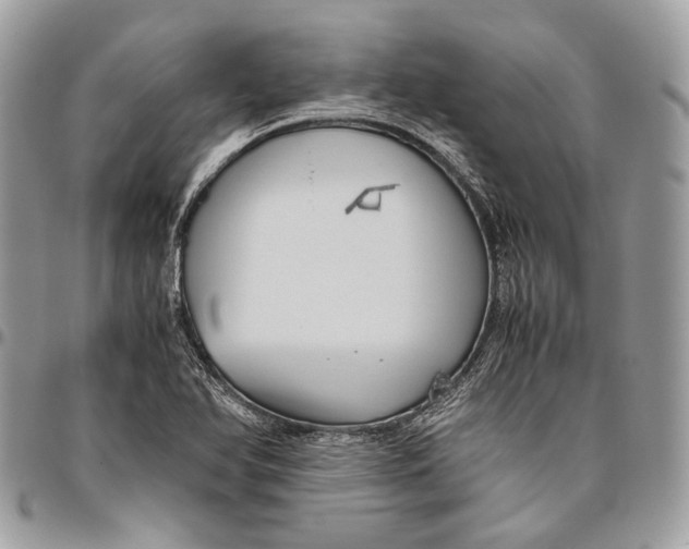 X0000096401366200802141509