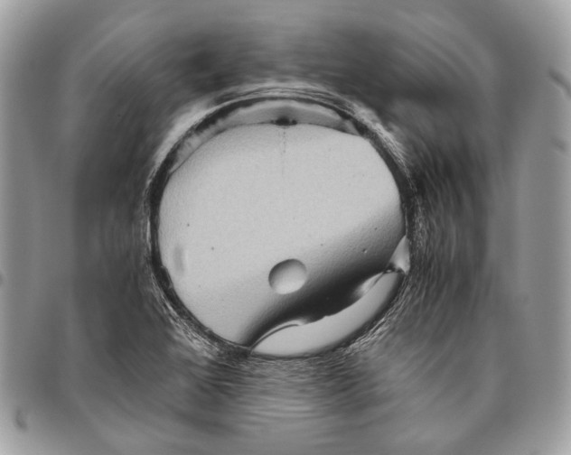 X0000096401368200802141509