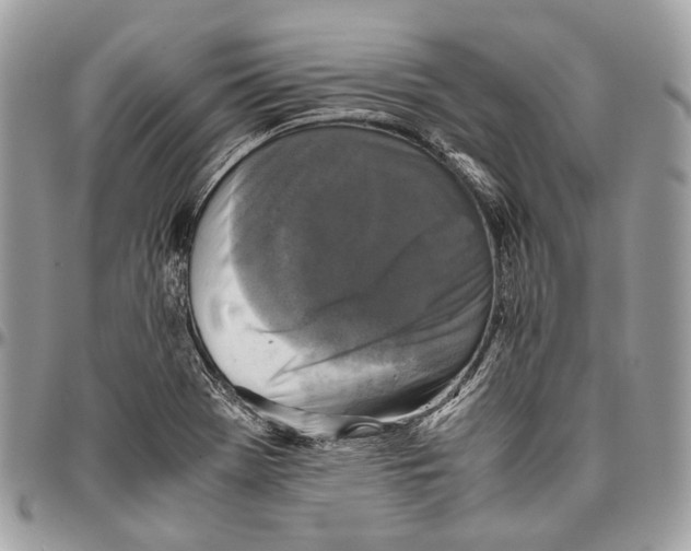 X0000096401369200802141509