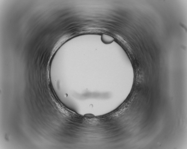 X0000096401370200802141509