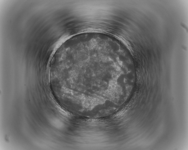 X0000096401371200802141509