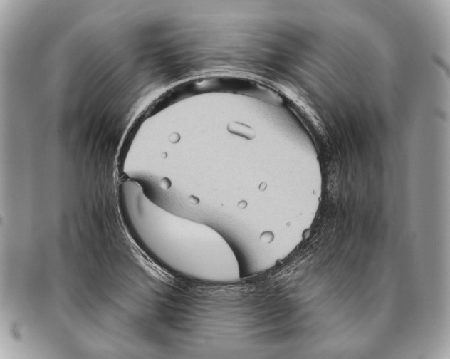 X0000096401372200802141509