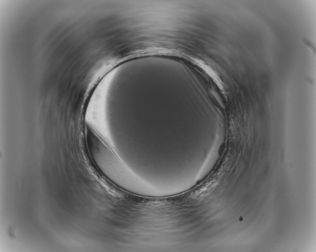 X0000096401373200802141509