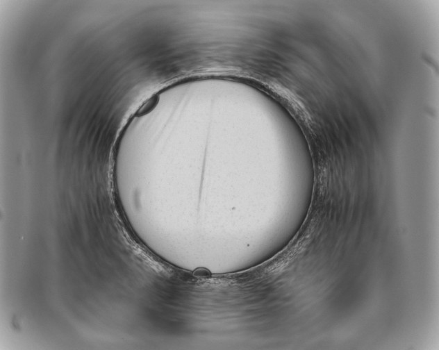 X0000096401374200802141508