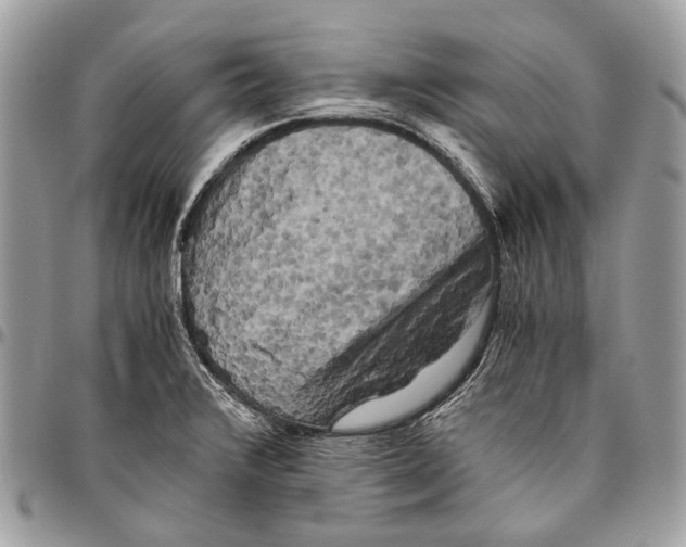 X0000096401376200802141508