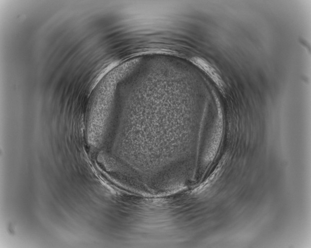 X0000096401377200802141508