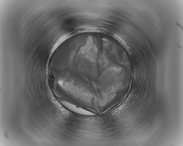 X0000096401378200802141508