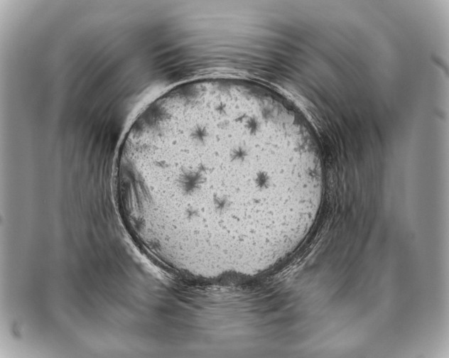 X0000096401379200802141508