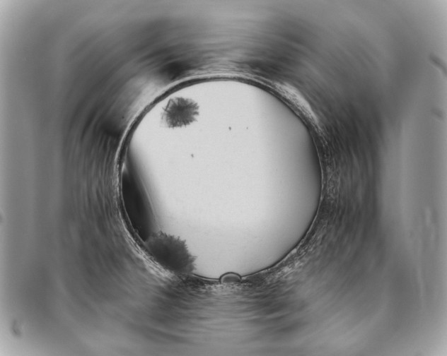 X0000096401380200802141508