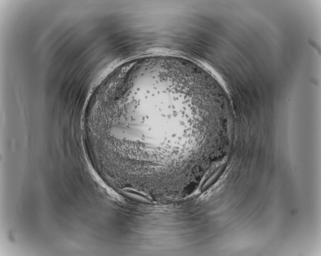 X0000096401381200802141508