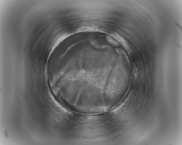 X0000096401382200802141508