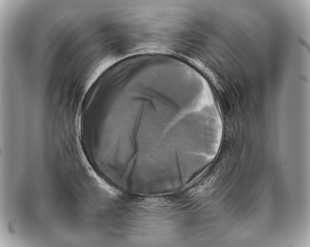 X0000096401383200802141508