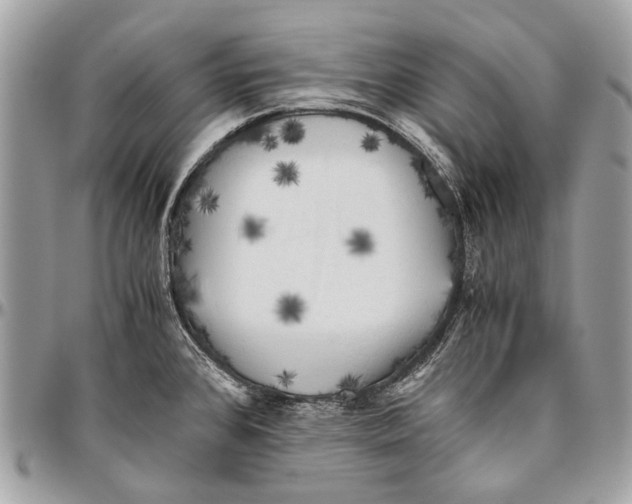 X0000096401384200802141508