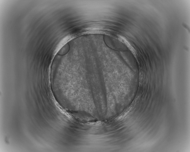 X0000096401386200802141508