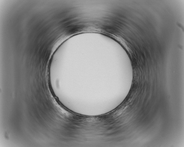 X0000096401387200802141508