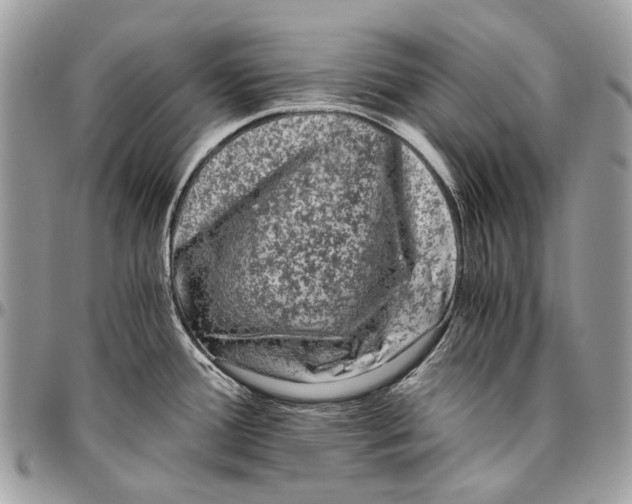 X0000096401388200802141508