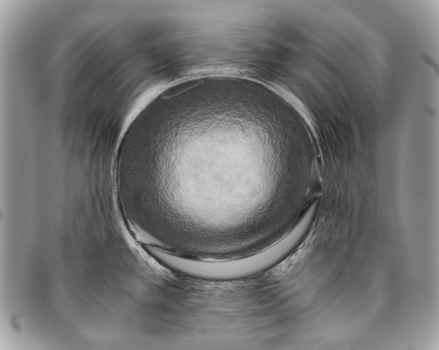 X0000096401389200802141508