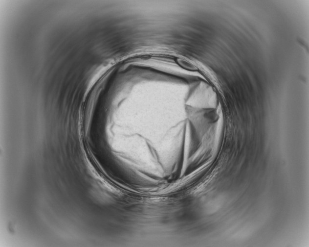 X0000096401390200802141508