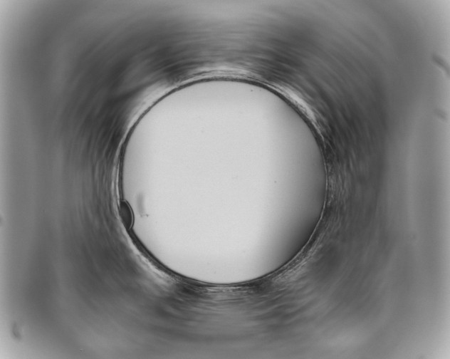 X0000096401391200802141508