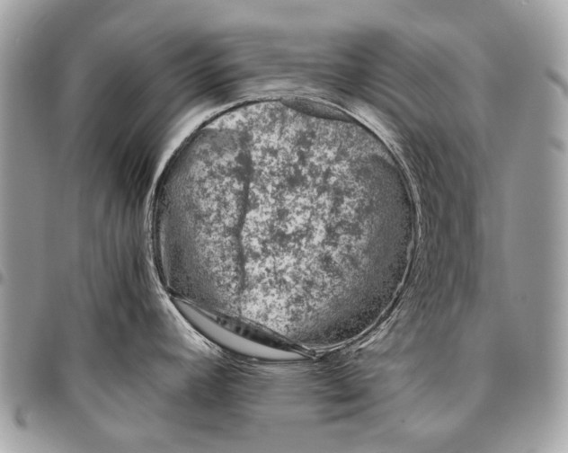 X0000096401392200802141508