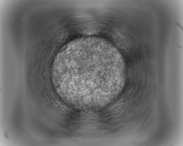 X0000096401393200802141507