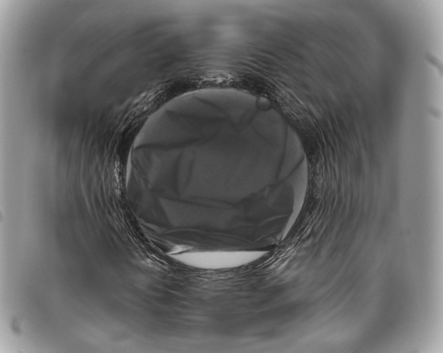 X0000096401394200802141507