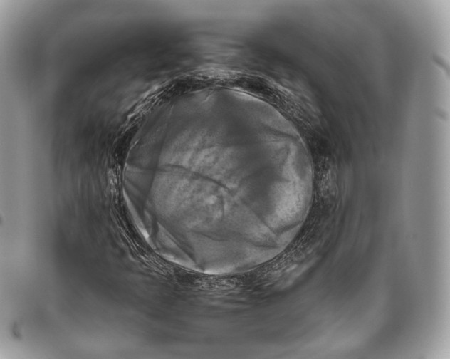 X0000096401397200802141507