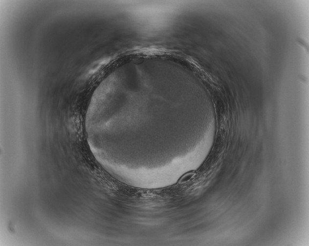 X0000096401398200802141507