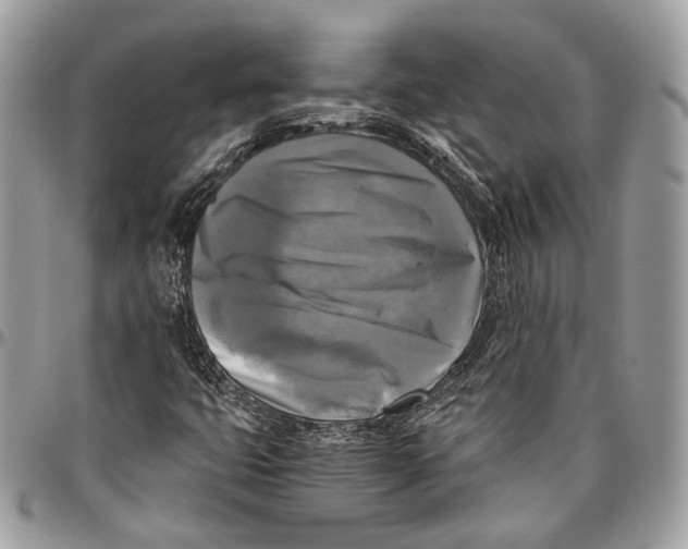 X0000096401399200802141508