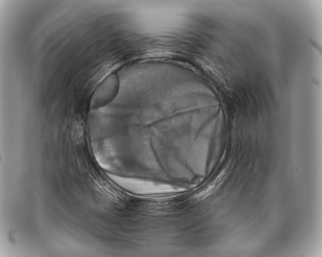 X0000096401401200802141508