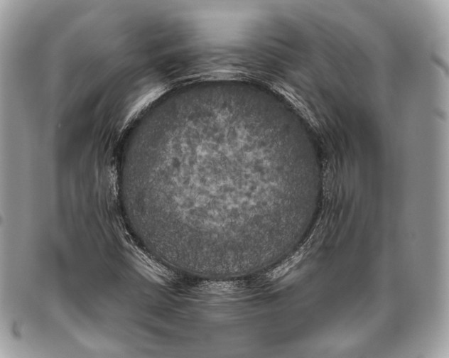 X0000096401402200802141508