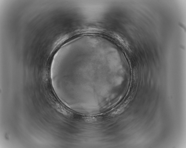 X0000096401405200802141508