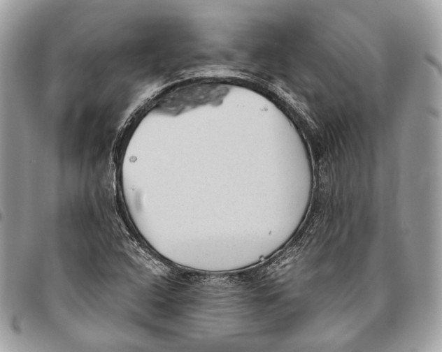 X0000096401408200802141508