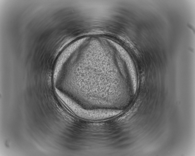 X0000096401409200802141508