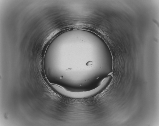 X0000096401410200802141508