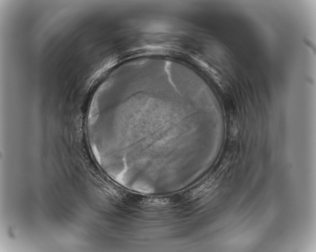 X0000096401411200802141508