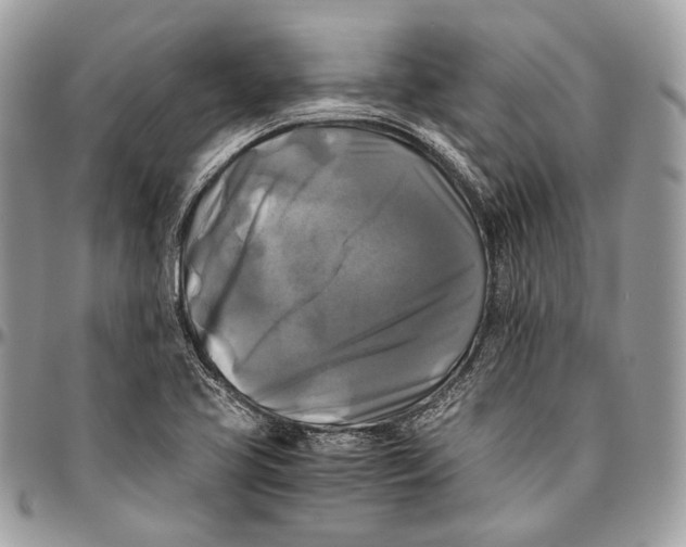 X0000096401413200802141508